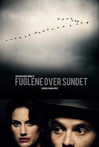 轰鸣中的鸟儿,自然交响乐章中的和谐旋律